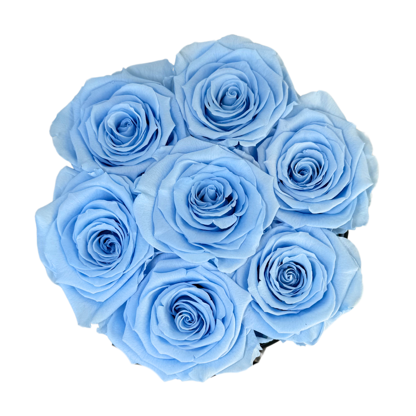 Light Blue Petite Preserved Roses Box