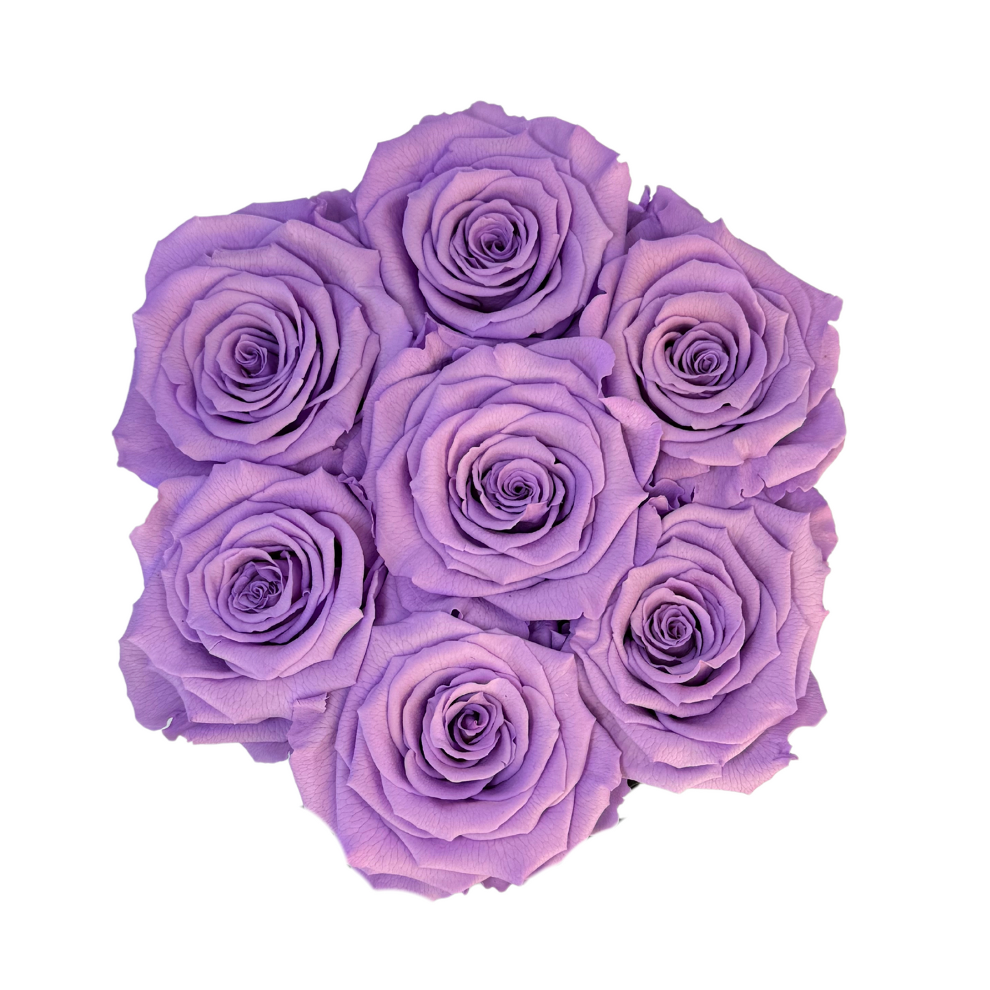 Lavender Petite Preserved Roses Box