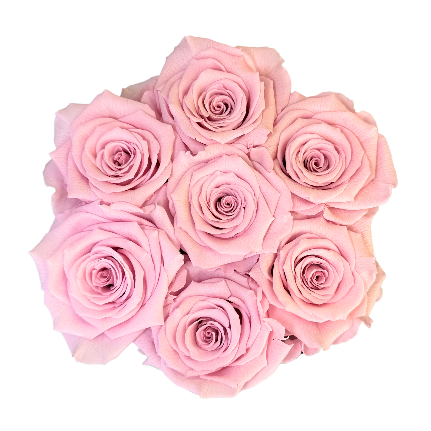 Light Pink Petite Preserved Roses Box