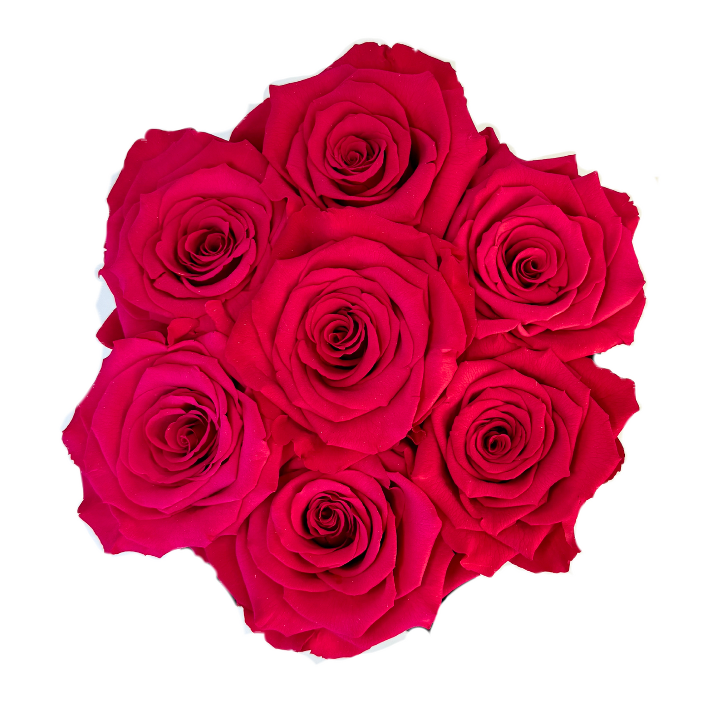 Hot Pink Petite Preserved Roses Box
