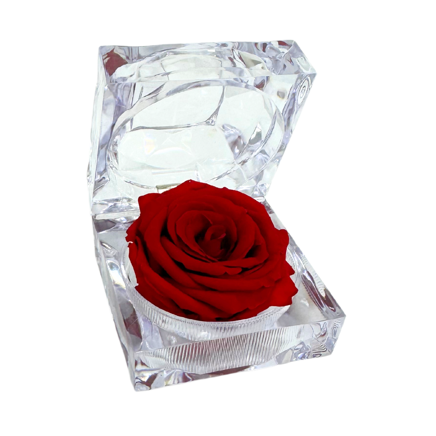 Mini Jewel Red Preserved Rose Gift Box