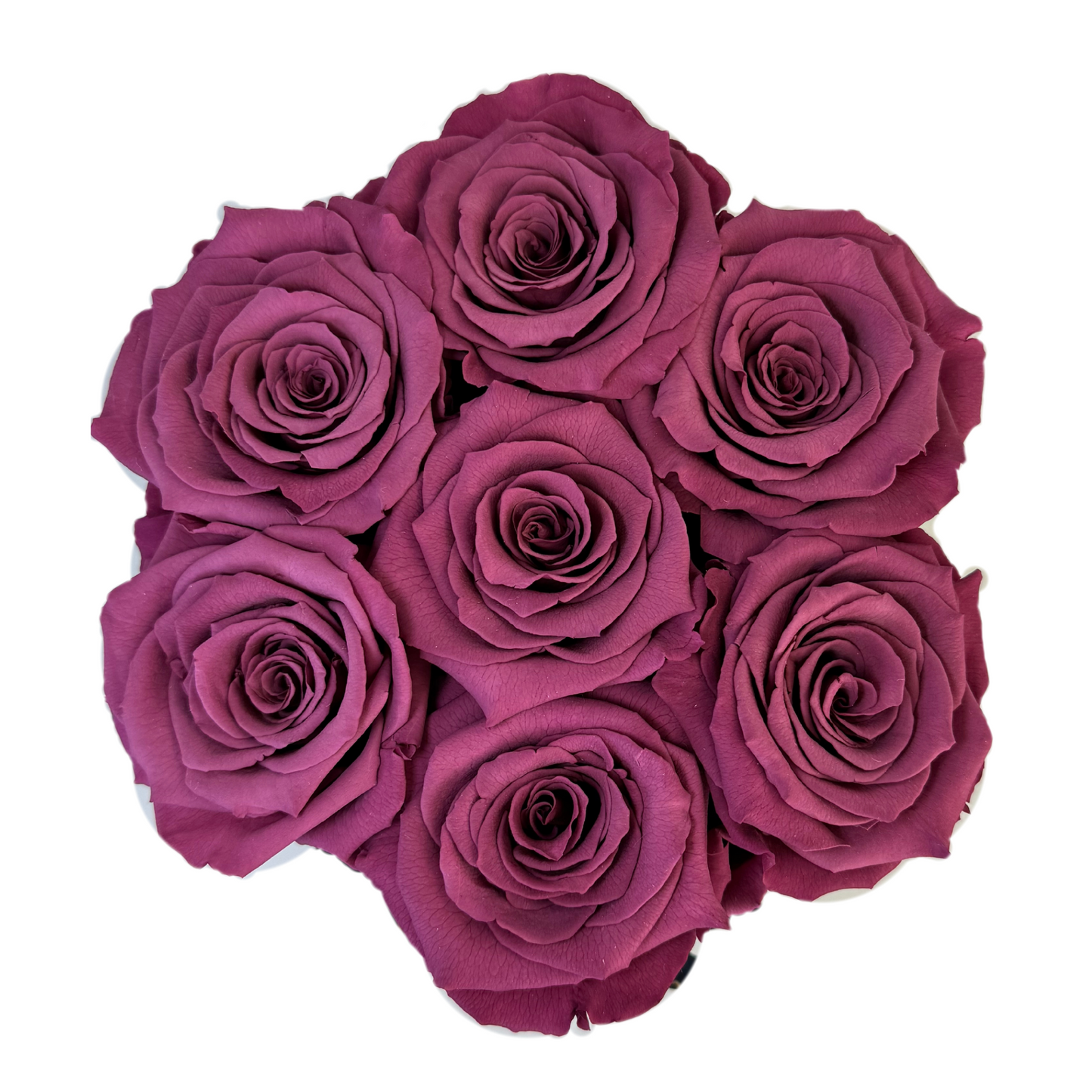 Mauve Petite Preserved Roses Box