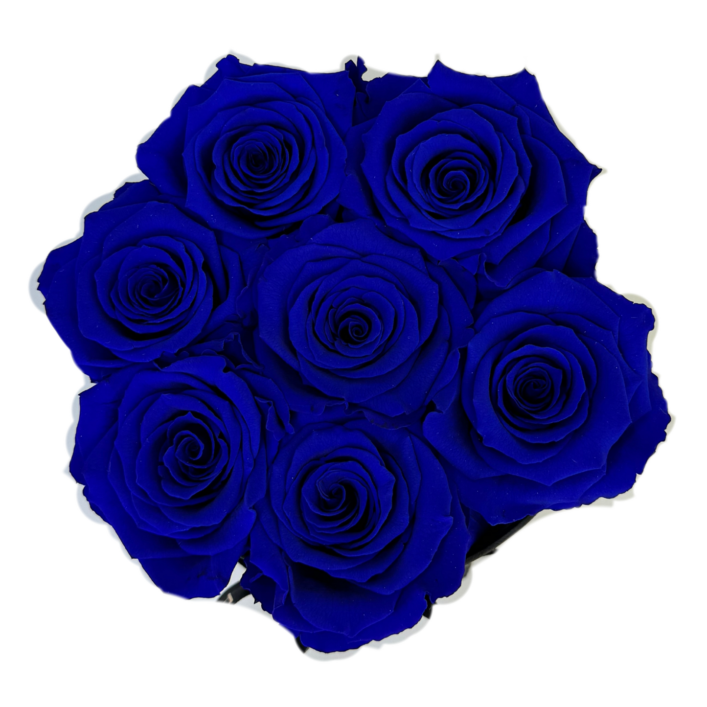 Royal Blue Petite Preserved Roses Box