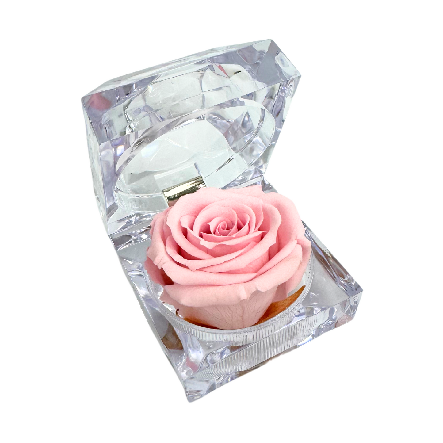 Mini Jewel Pink Preserved Rose Gift Box