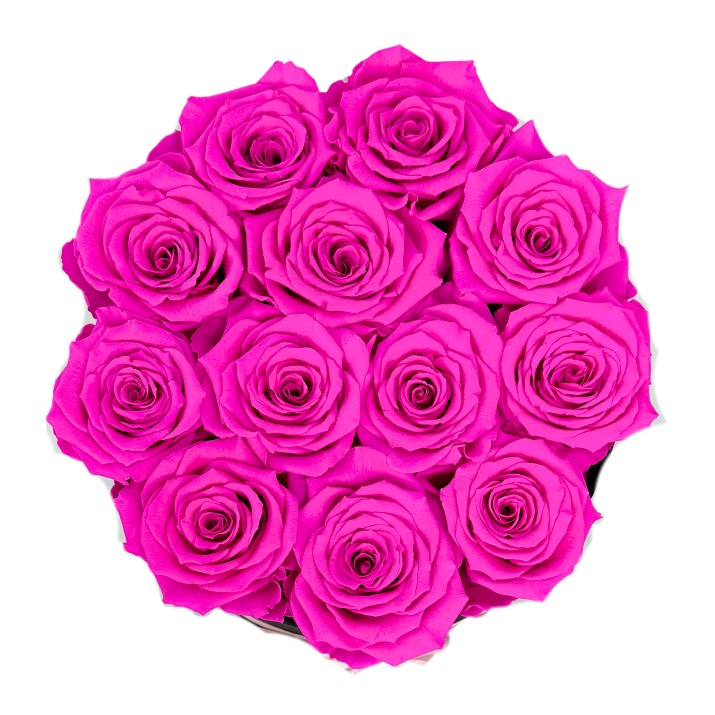 Bright Pink Signature Preserved Roses Box