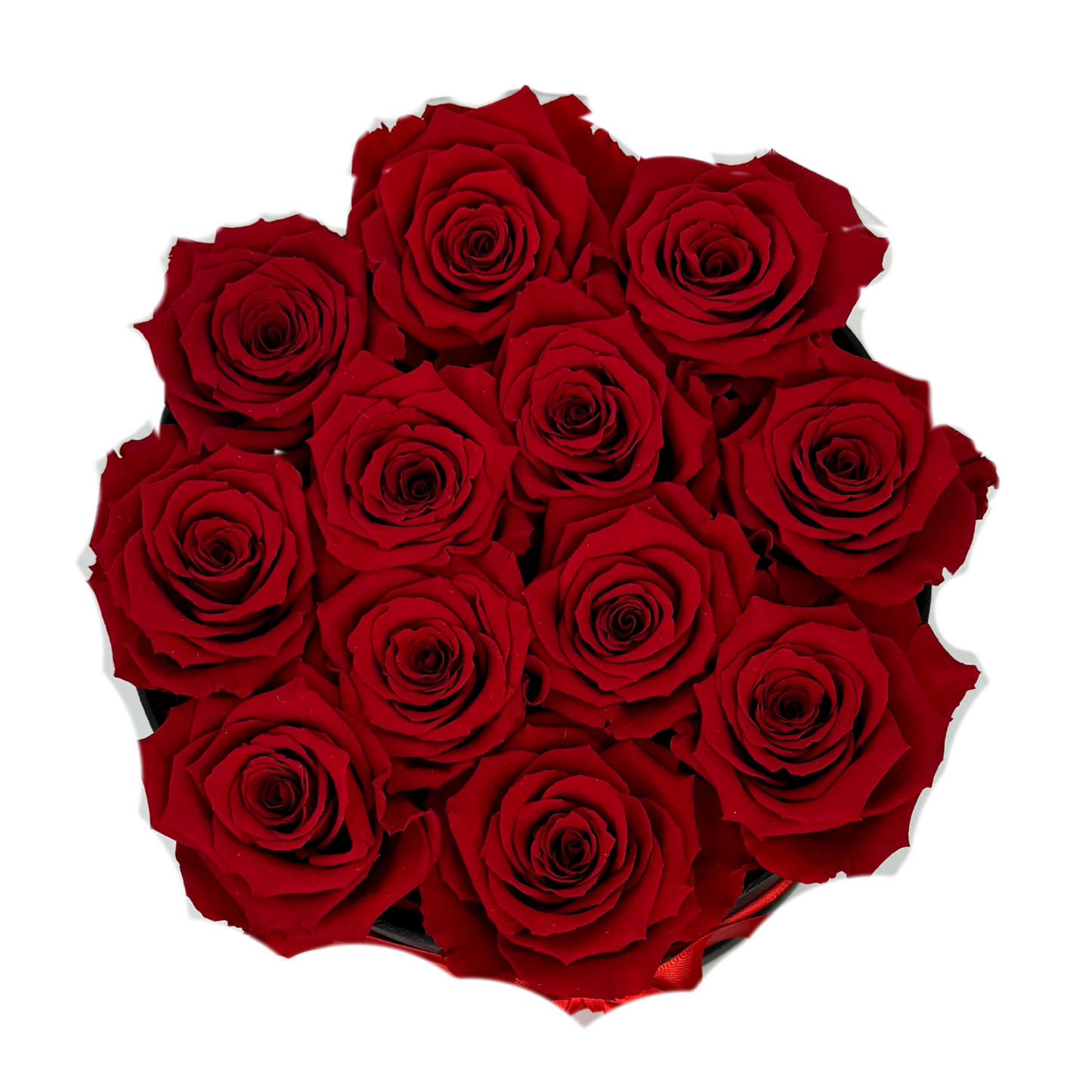 Red Signature Preserved Roses Box