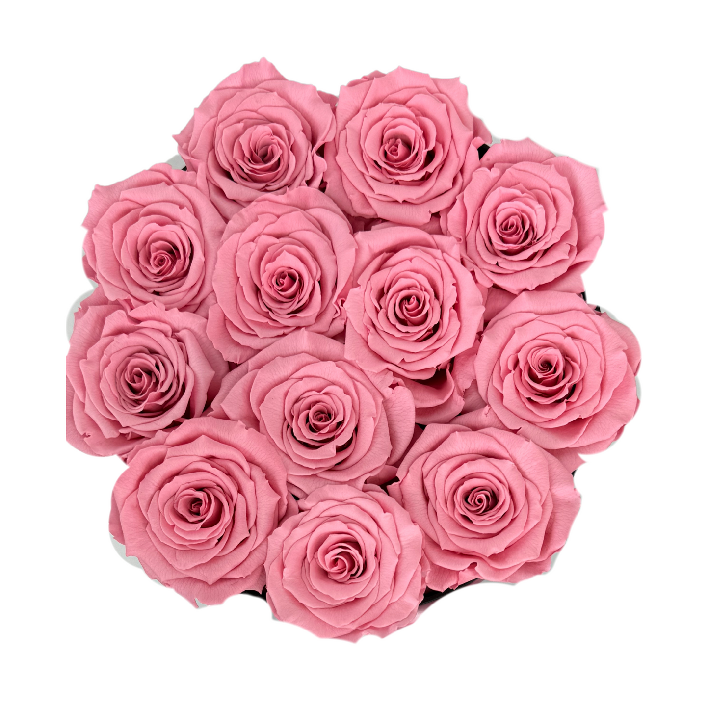 Pink Signature Preserved Roses Box