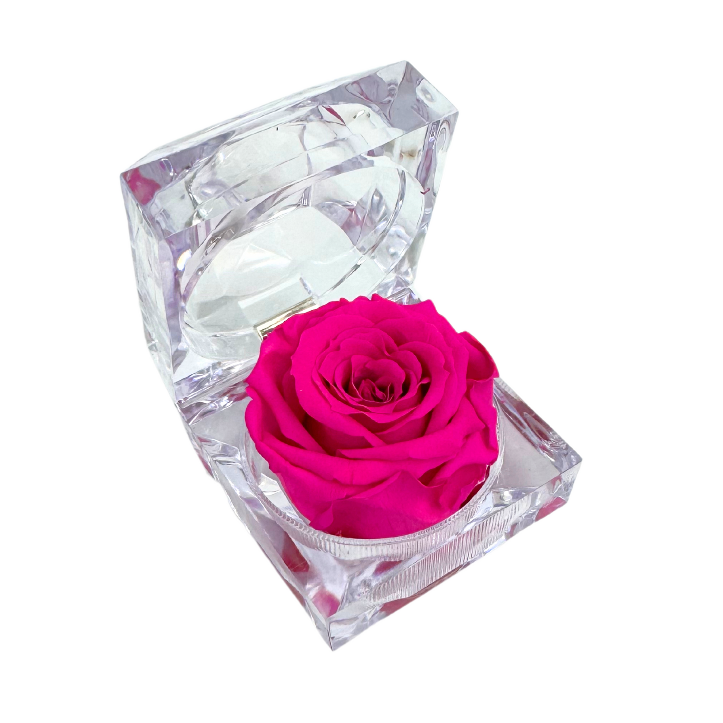 Mini Jewel Hot Pink Preserved Rose Gift Box