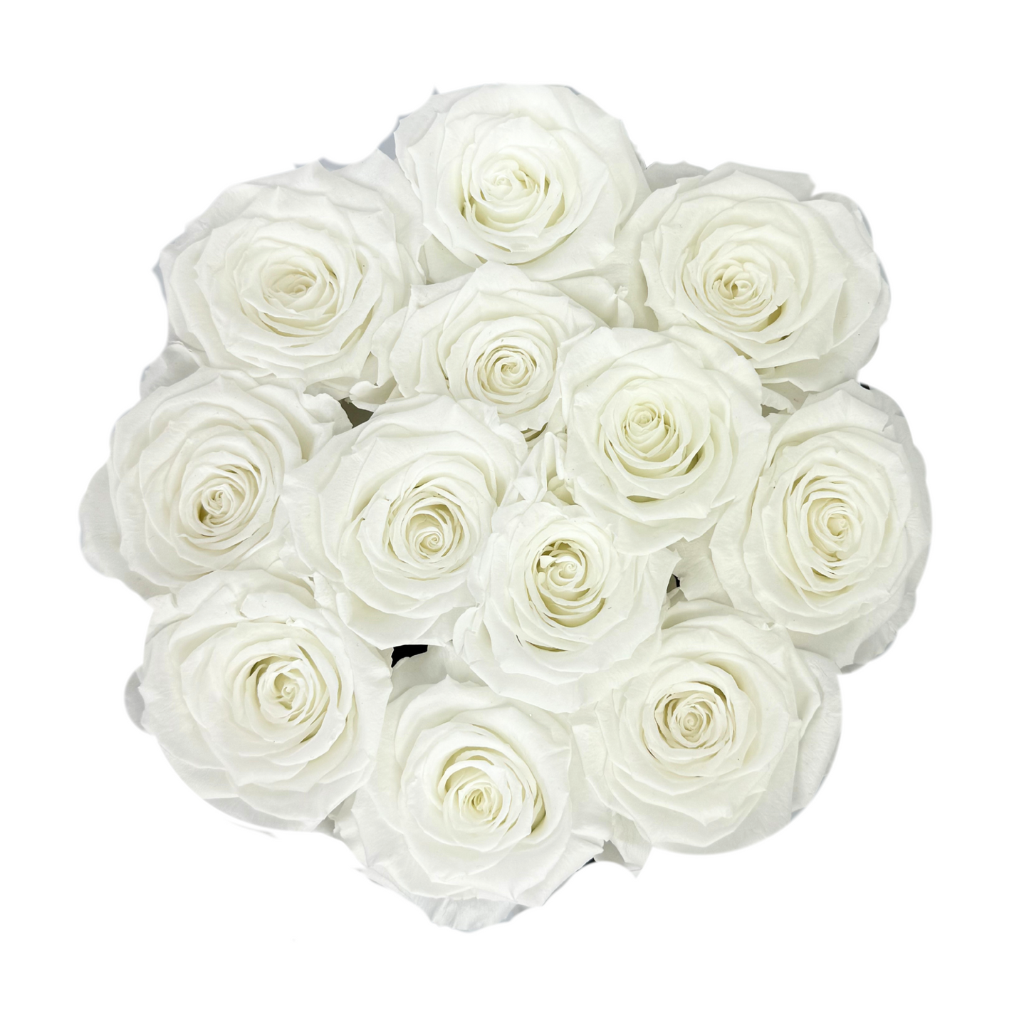 White Signature Preserved Roses Box