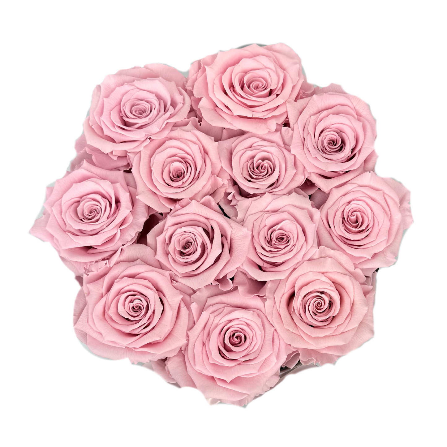 Light Pink Signature Preserved Roses Box