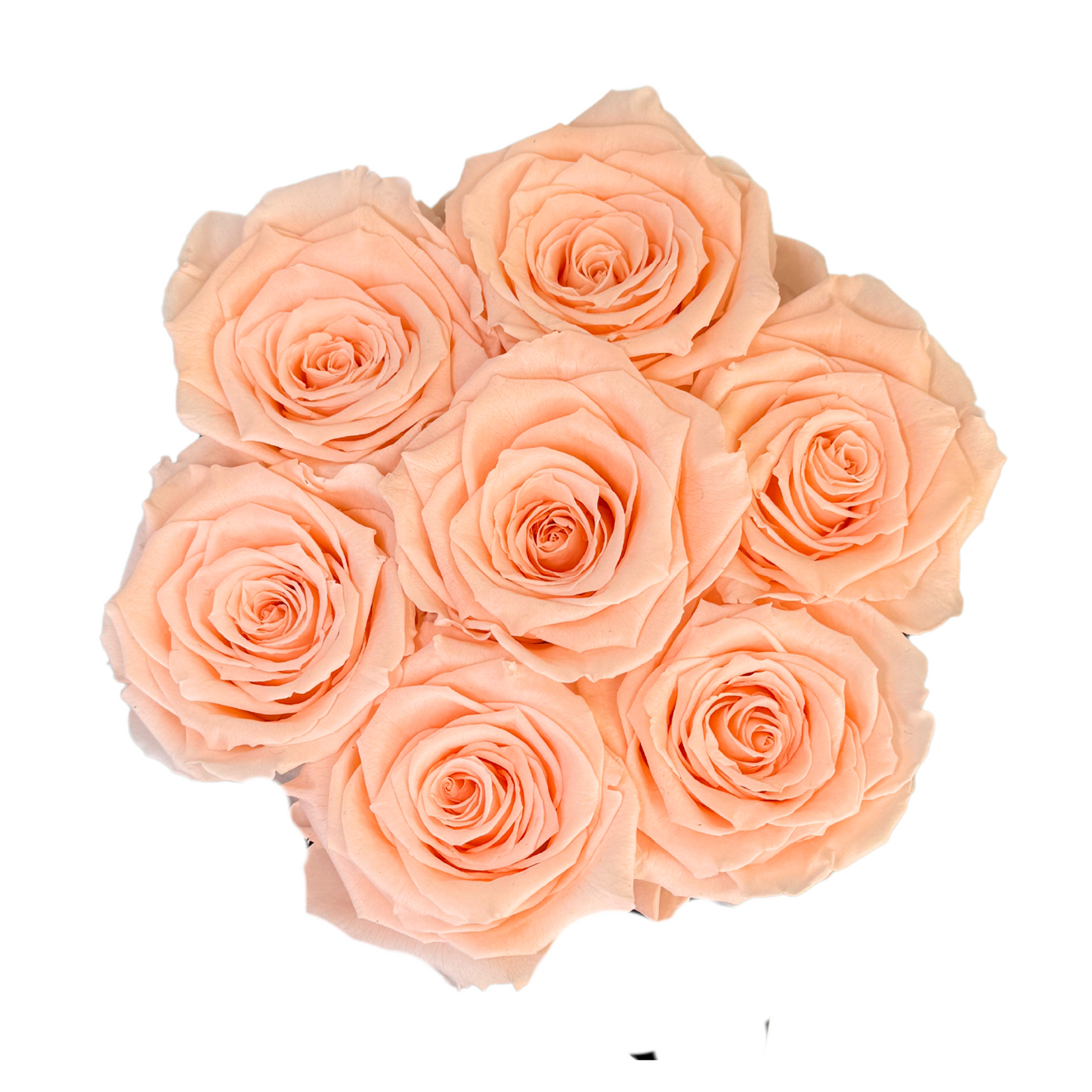 Peach Petite Preserved Roses Box