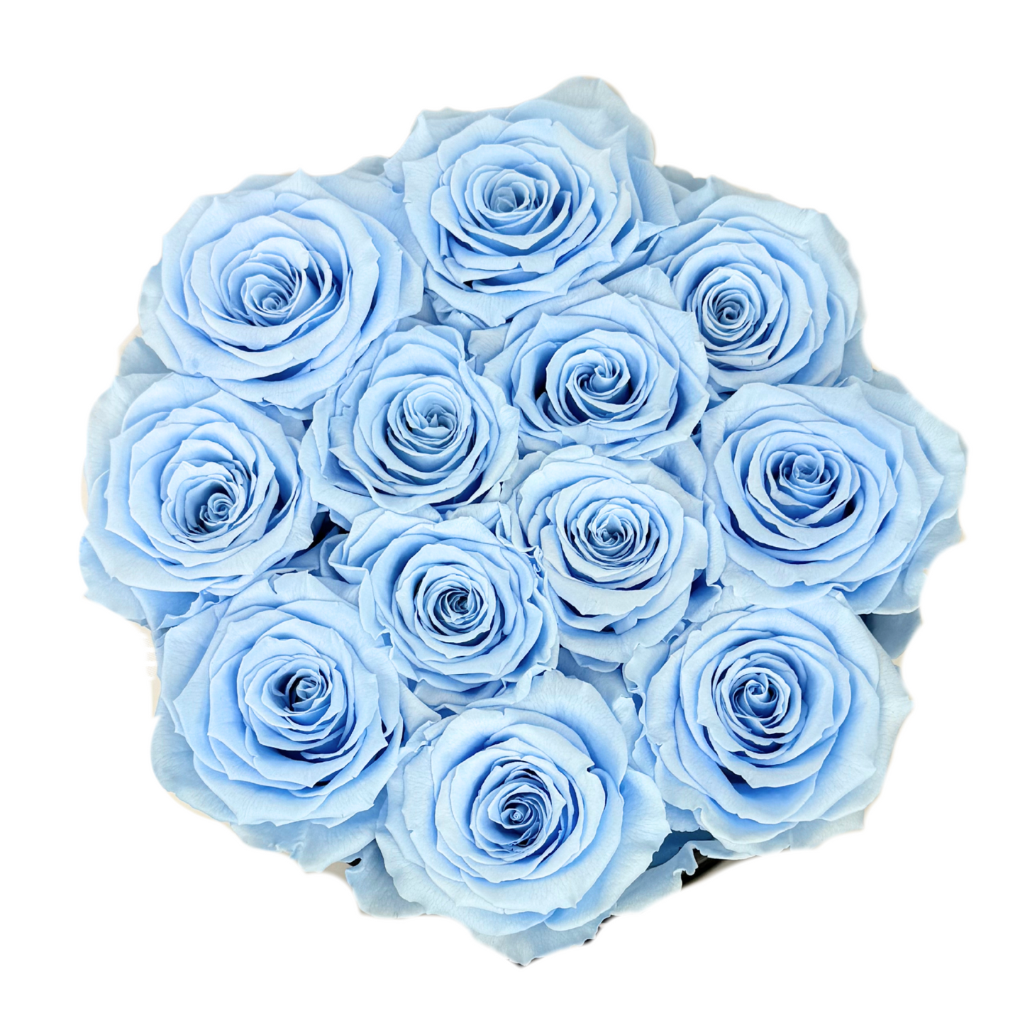 Light Blue Signature Preserved Roses Box
