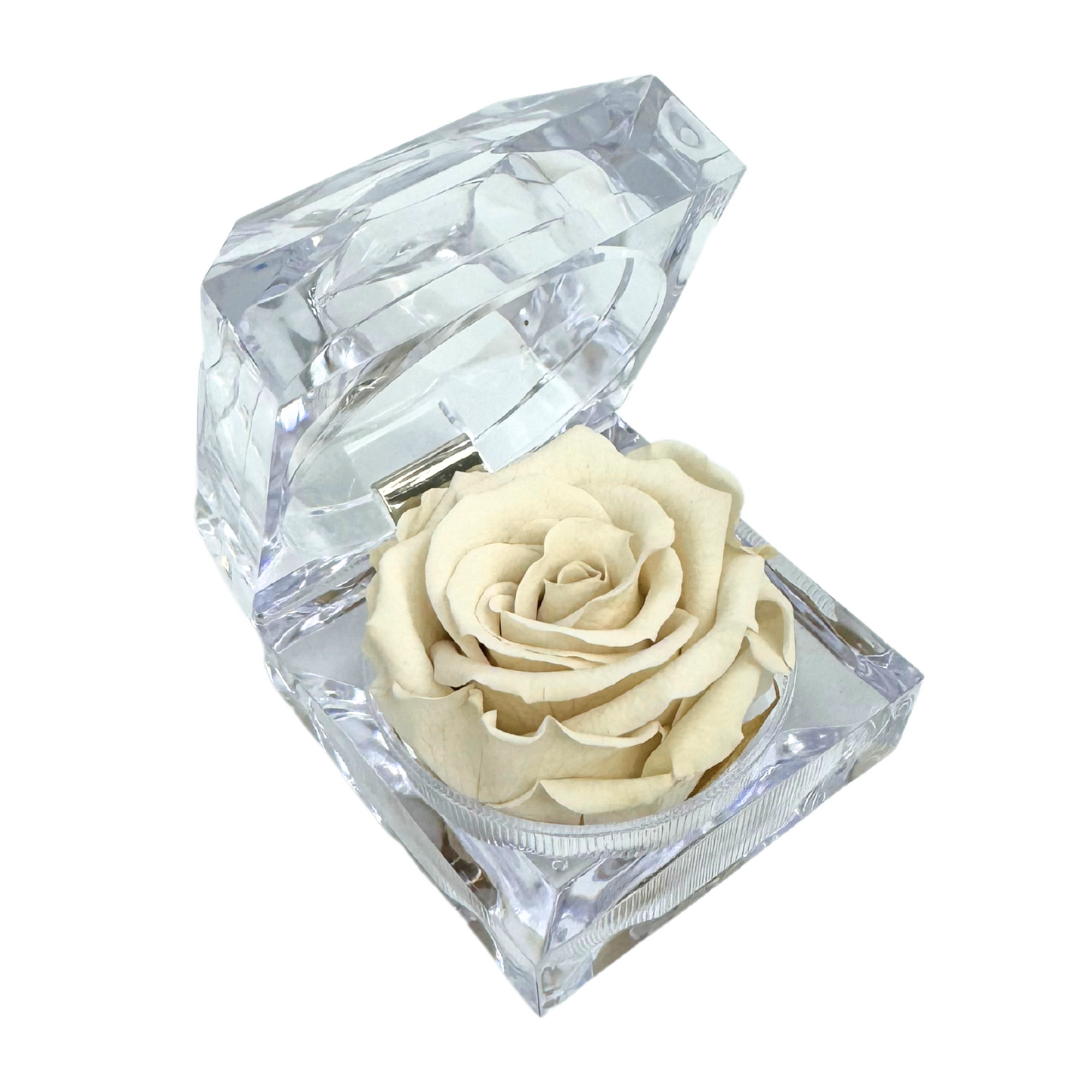 Mini Jewel Off White Preserved Rose Gift Box