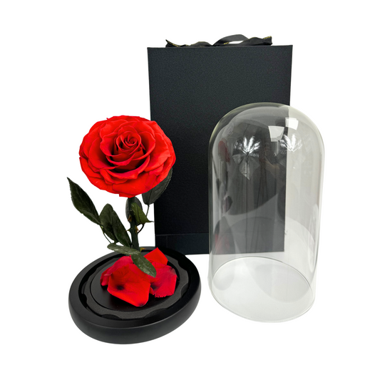 Enchanted Red Preserved Rose in Glass Dome