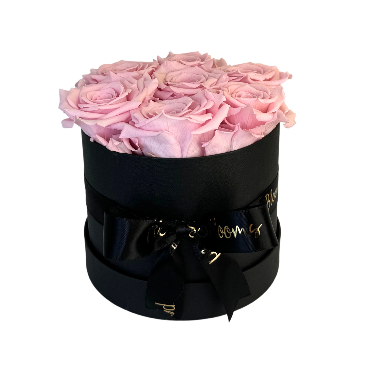 Light Pink Petite Preserved Roses Box