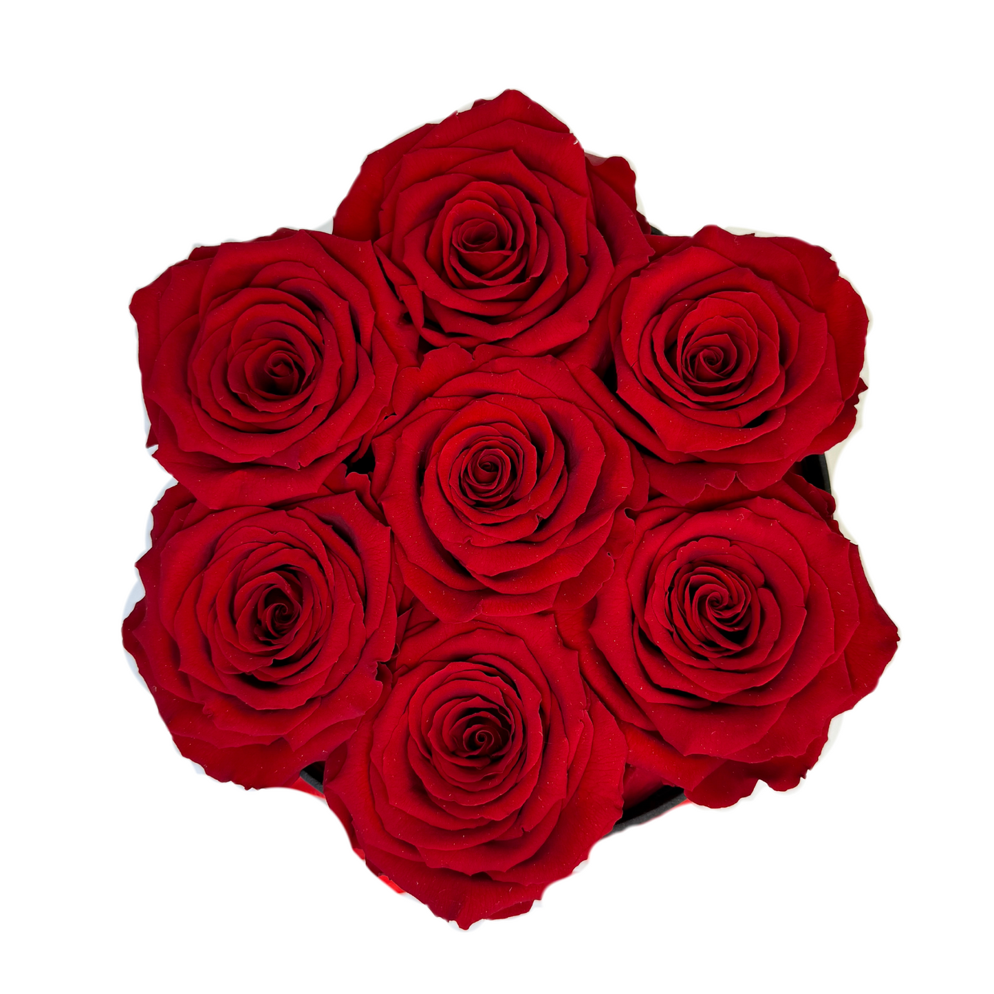 Red Petite Preserved Roses Box