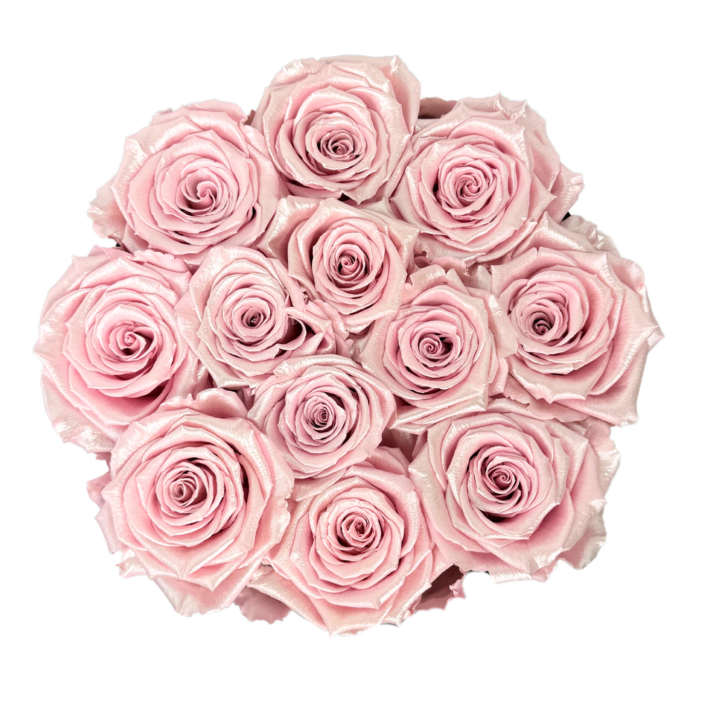 Pearl Pink Signature Preserved Roses Box