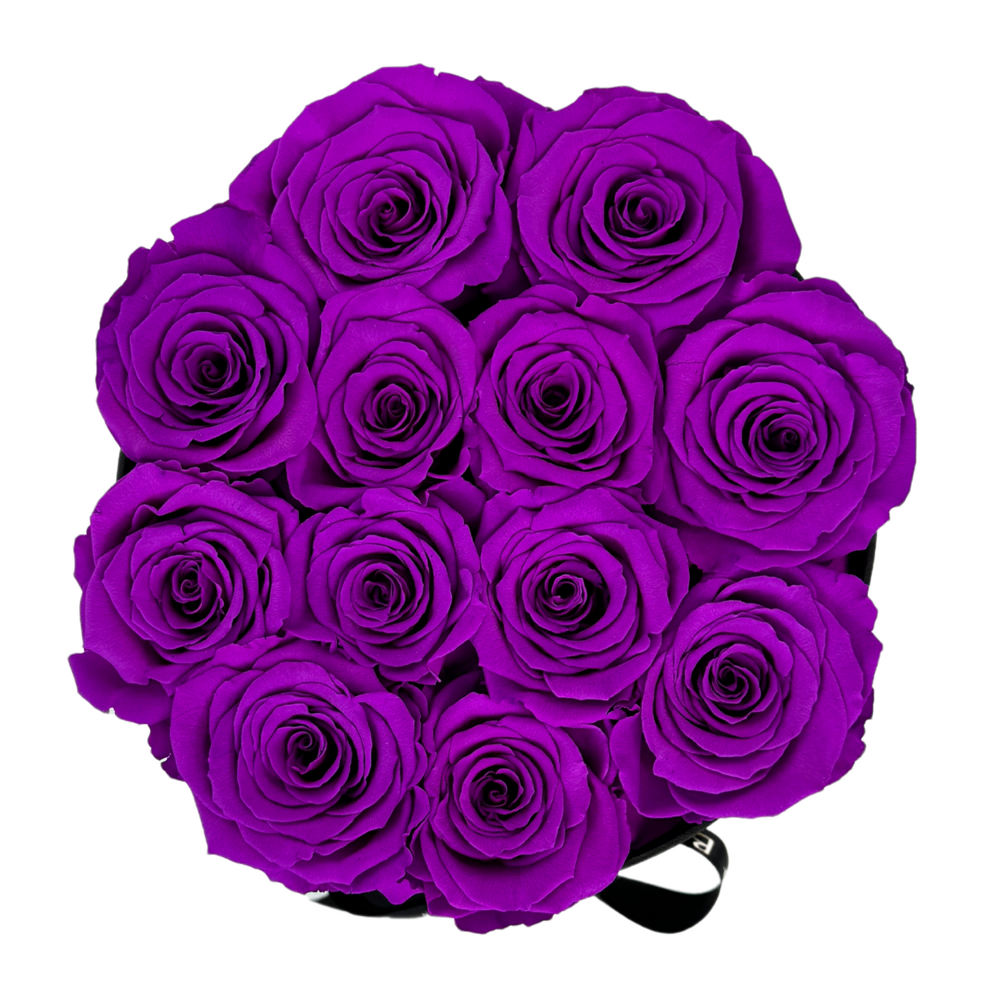 Royal Purple Signature Preserved Roses Box