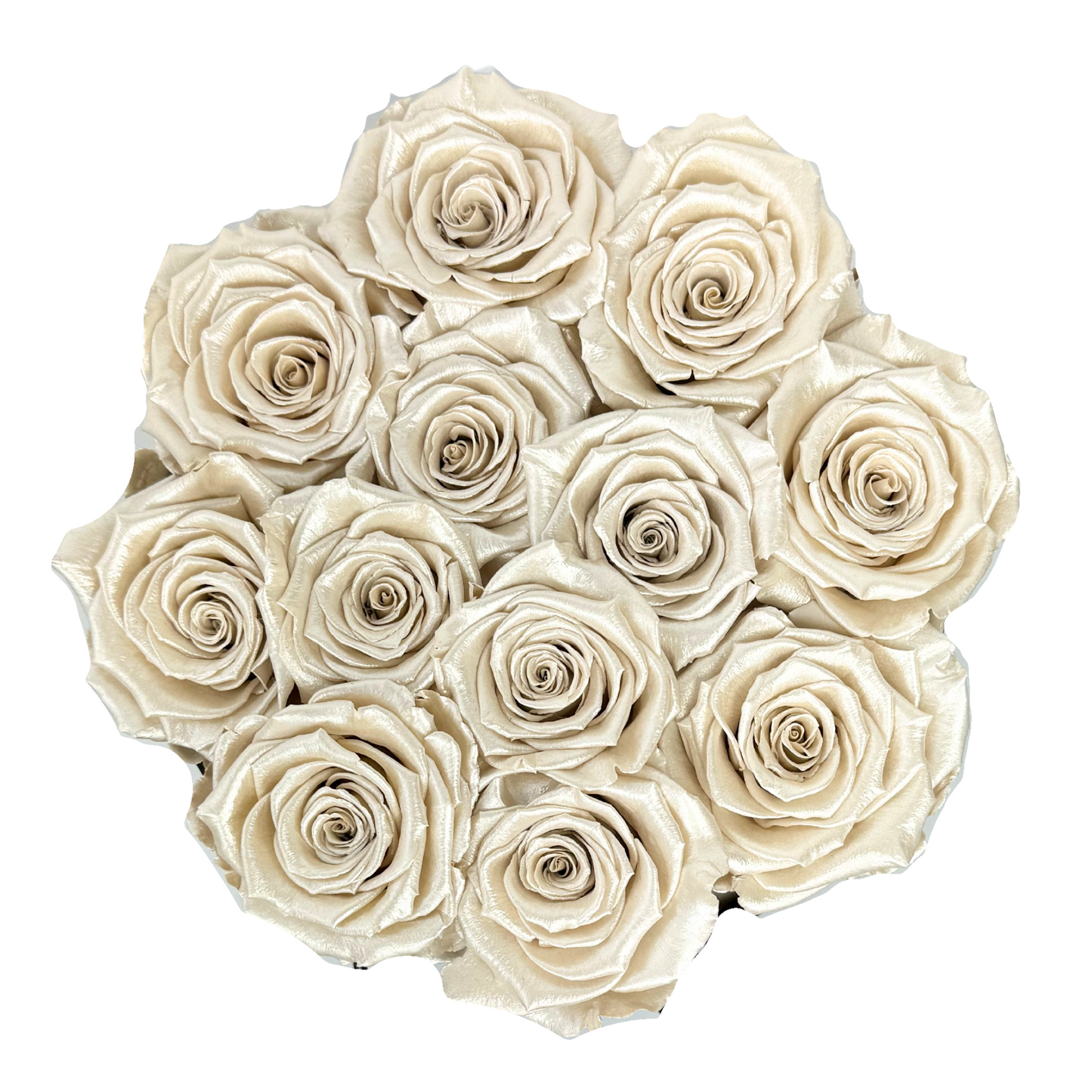 Pearl White Signature Preserved Roses Box